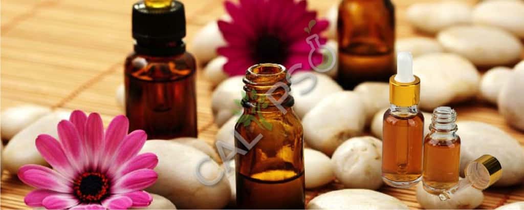 Champaca Red Absolute Oil Benefits